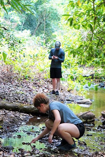 Invertebrate Sampling